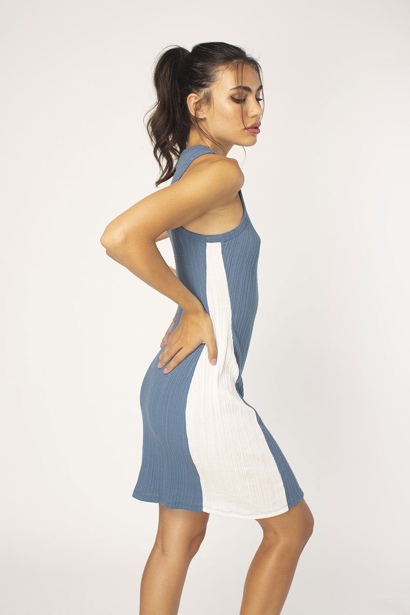 Marine/White Blocked Tank Dress